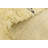 Iraheta Cream Rug