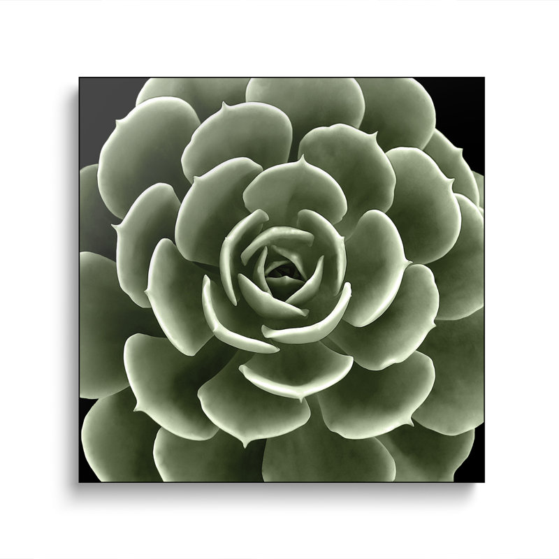 Reproduction d'art sur toile en métal «Ste succus IV» par Mia Jensen