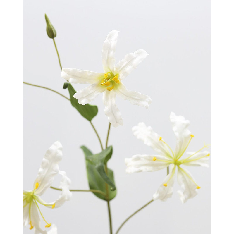 White Gloriosa Lily 41"