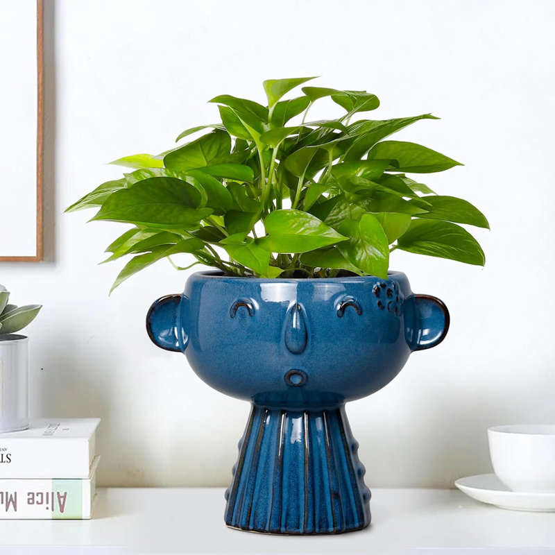 Mignon pot à fleurs 7 po