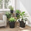 Planter-471815545-471815546