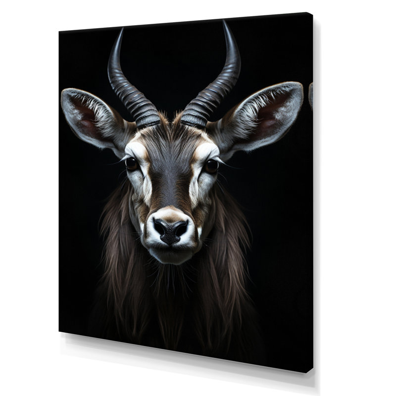 Antilope Keionna, photo II - impression, H 32 po x l 24 po x P 1 po, Toile tendue