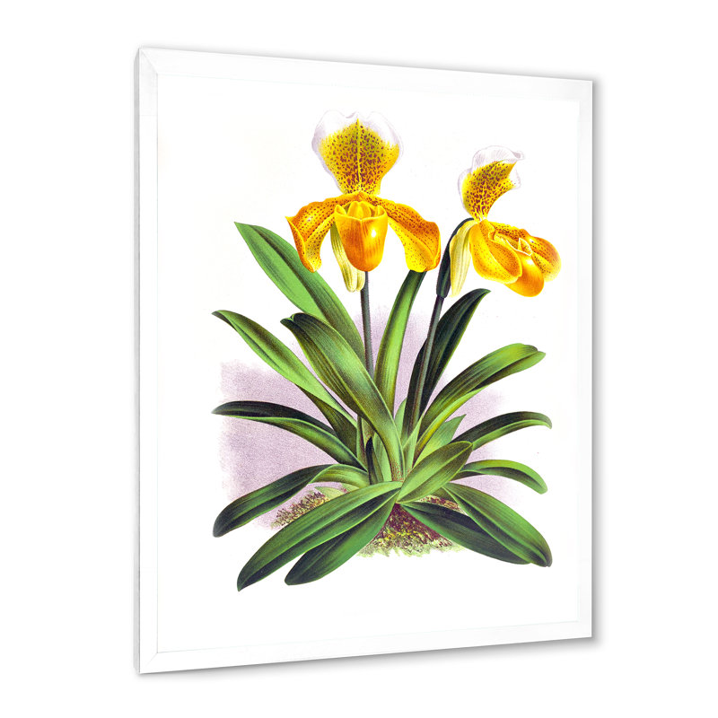 Orchidée jaune rétro - reproduction de cadre photo sur toile, H 20 po x l 12 po x p 1 po, Blanc