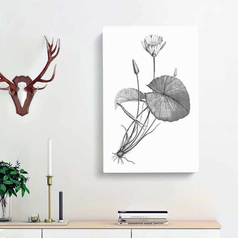 Egyptian Lotus Flower - Wrapped Canvas Print, 60cm H x 40cm W x 3cm D