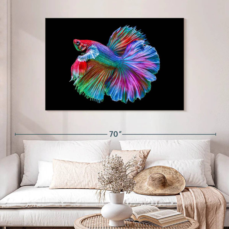 Poisson Betta chromatique, H 32 po x l 48 po