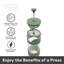 3 Cup Borosilicate French Press Coffee Maker (350 ml, 12 oz)