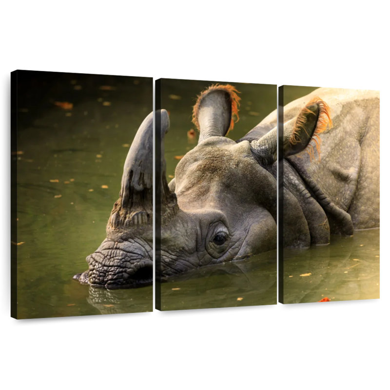 Rhino In Muddy Water