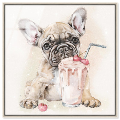 Milkshake Frenchie