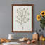 Toile simple encadrée Premium Sprig III - prête à être accrochée-1499364528-1499364542