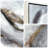 Flood Textured Hand Painted Canvas Wall Art with Gold Foil by Martin Edwards