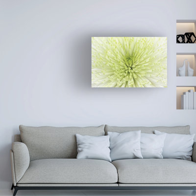  Art mural sur toile tendue - art mural Cora Niele «Lime Light Spider Mum» pour le salon, la chambre à coucher ou le bureau - 12 x 19