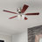 Rosenblatt 52'' Ceiling Fan with Light Kit-50118211-29587320