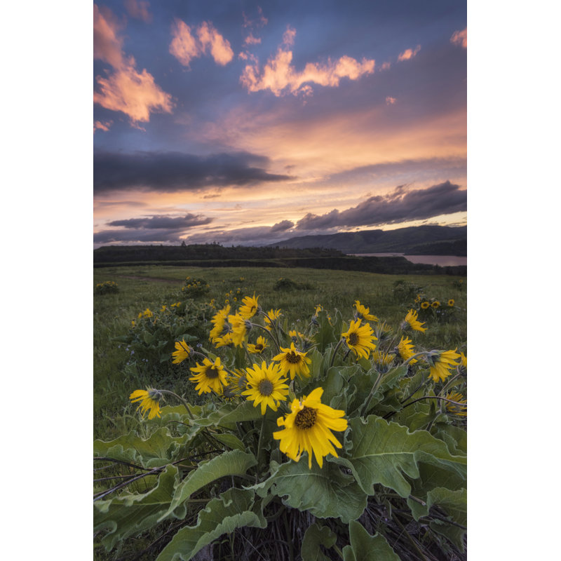Sunset at the Gorge by Danny Head - Photograph, 30 cm H x 20 cm W, Wrapped Canvas
