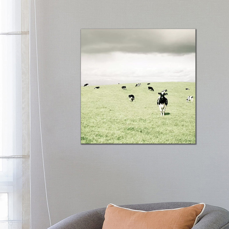 Curious Cows by Lupen Grainne - Wrapped Canvas Print, 66.04 cm H x 66.04 cm W x 1.91 cm D