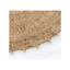 Medallion Jute / Sisal Area Rug in Brown-907822024