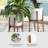 Bariah Elevated Planter