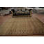 Tapis traditionnel 8 x 11