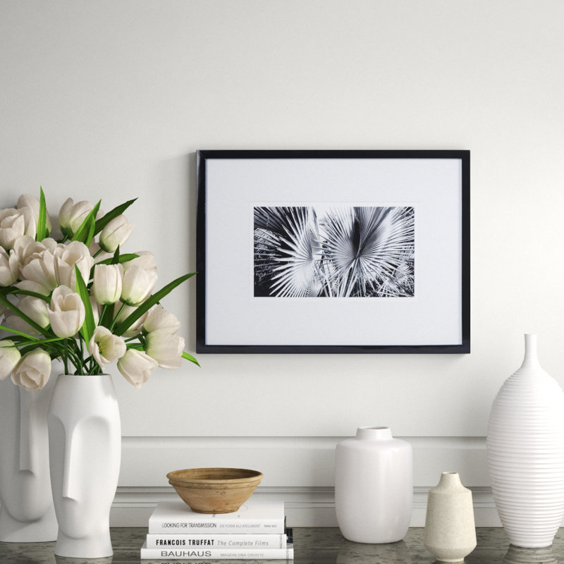 Black And White Palm Leaves C Print