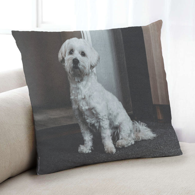 Coussin Dogs Dogs 67, Microsuède