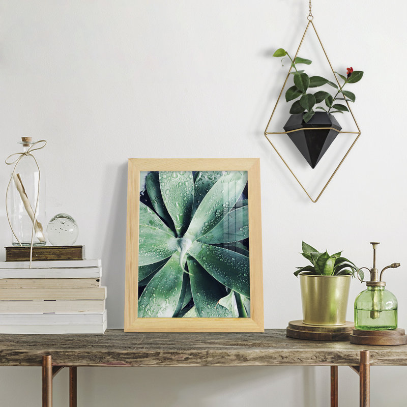 Vert succulent tropical vert III, H 11 po x l 9 po x P 1 po, Naturel