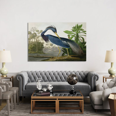 Wick " Louisiana Heron " by John James Audubon