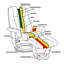  Fauteuil inclinable pivotant avec repose-pieds Matanzas - pivotant à 360 °, inclinable à 125 °