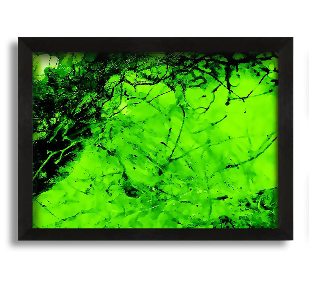 Gerahmtes Leinwandbild Green Branches In The Wind