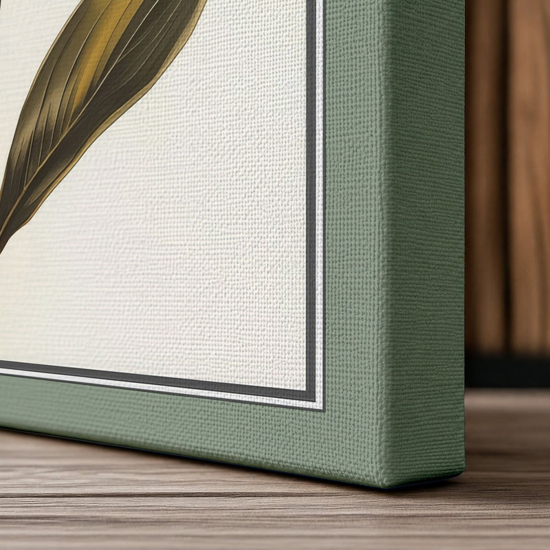 Golden Daffodil Study Botanical - Wrapped Canvas, 24x16 - 61.0 x 40.6 cm, Sage Border