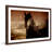 "Friesian Fire" Framed Print-20656120