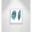 «Feathers in Turquoise II», art encadré-47533815-47566110