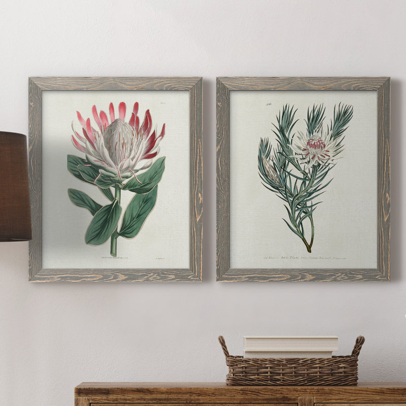 Protea N13 - Ensemble de 2 peintures sur toiles encadrées, Encadré gris, H 24 po x l 36 po x P 1,5 po