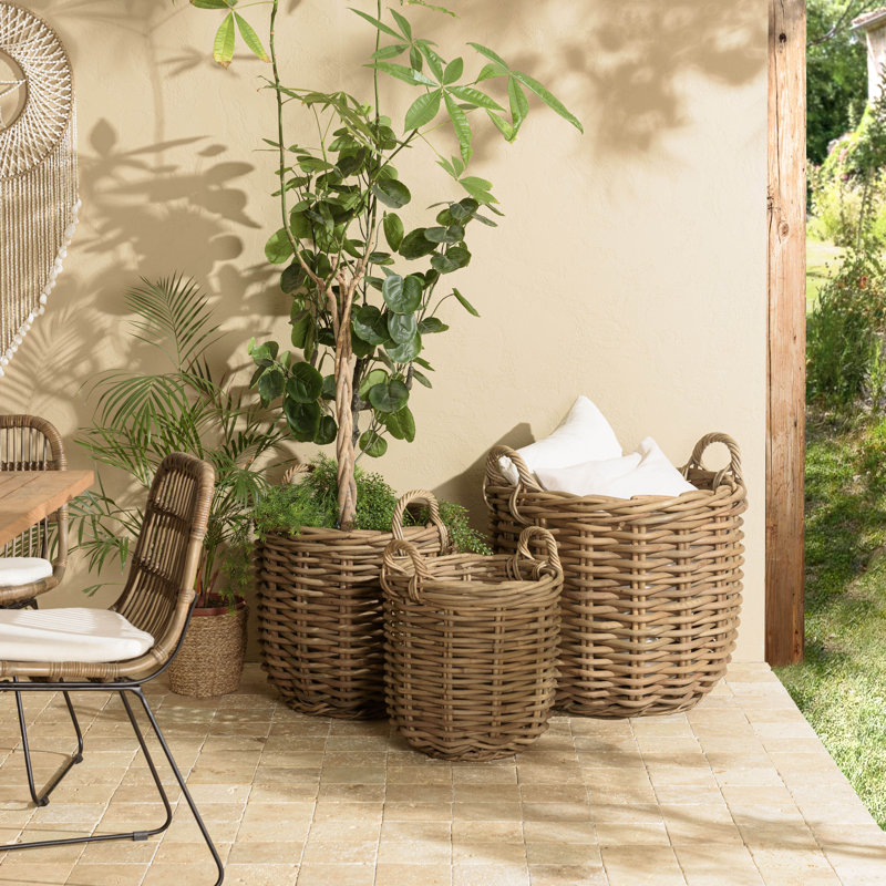 Bay Isle Home Amer Rattan Decorative Basket