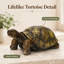 Statue de tortue de jardin
