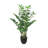 Artificial Zamiifolia ZZ Plant in Pot