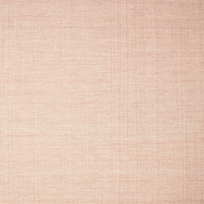 Indoor Rug
