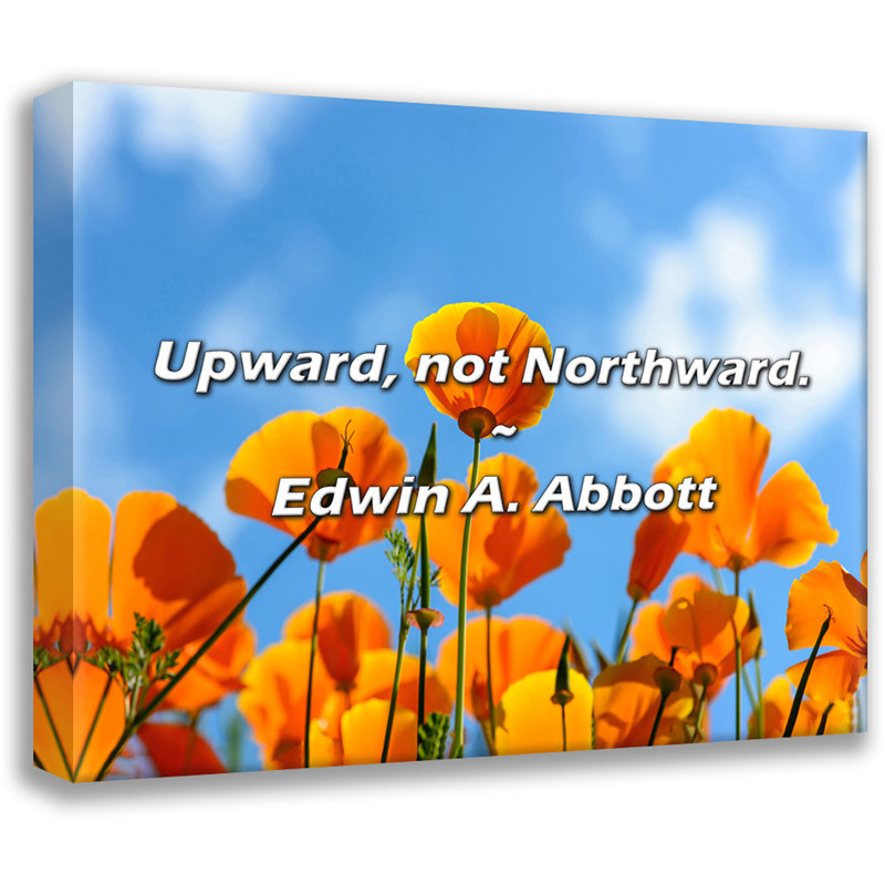 Citation d'Edwin A. Abbott: vers le haut, pas vers le nord., H 20 po x l 24 po