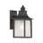 Monte Grande 1-Light Outdoor Wall Lantern in Bronze-112171073