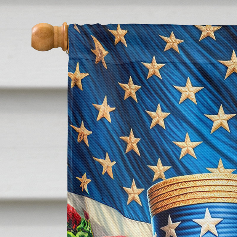 Drapeau «All American House», Setter irlandais