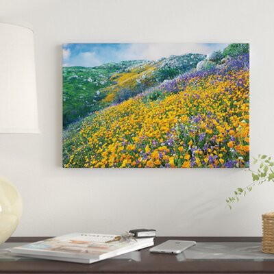 California Poppy and Desert Bluebell Flowers, Canyon Hills, Santa Ana Mountains, California by Tim Fitzharris - Wrapped Canvas Photograph Print -  East Urban Home, 6C1D1E49B683400DBC837B35B8DCABA4