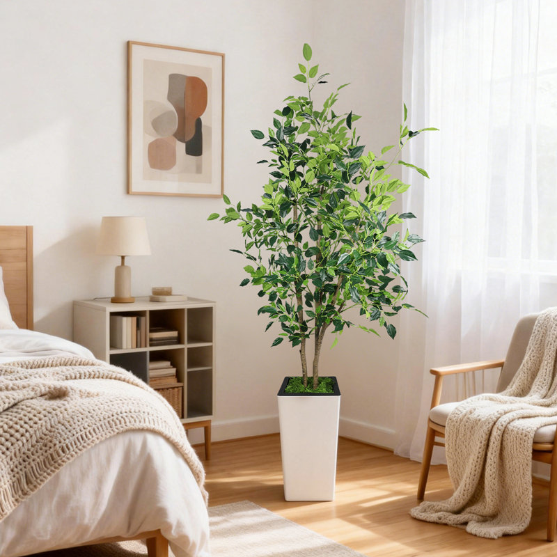 Ficus benjamin artificiel 6 pi Evergreen, 72 po x 9 po