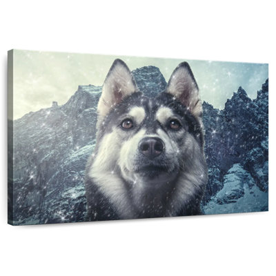 Husky de Sibérie hivernal
