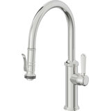 Davoli Kitchen Pull-Down Faucet with Squeeze Sprayer - Low Arc Spout