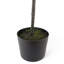 110Cm Artificial Magnolia Tree Plant in Pot-88685044-124076865