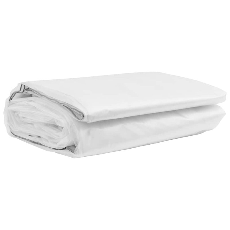Bâche transparente avec œillets 9,8 x 26,2 pi Vidaxl, L 26,20 po x P 9,80 po, Transparent/noir