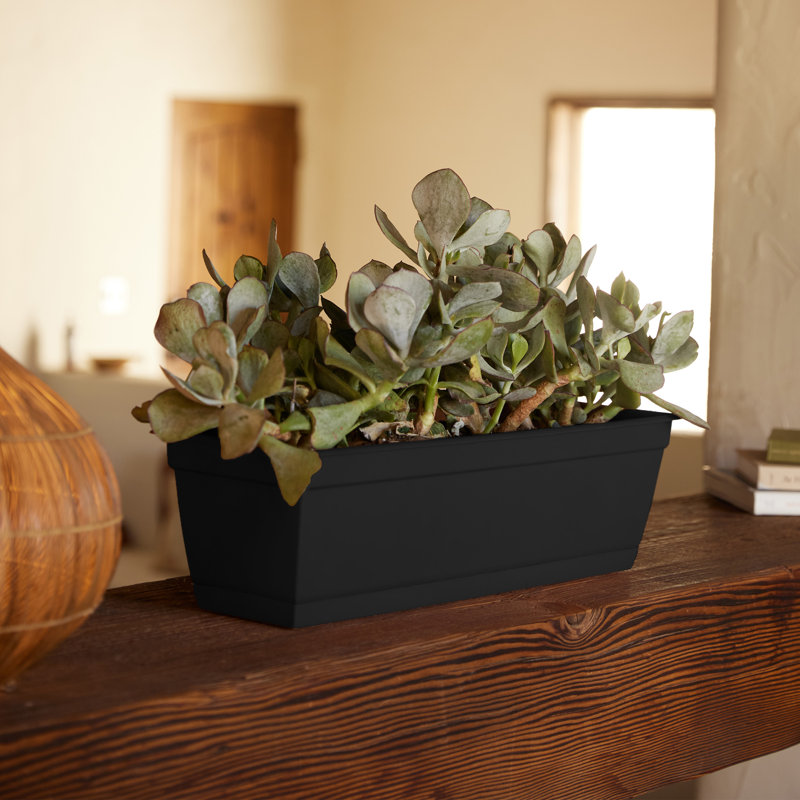 Dura Cotta Traditional Plastic Indoor/Outdoor Rectangle Window Box Planter with Attached Saucer, Black