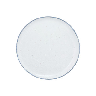 Arctic Coupe 10.5" Dinner Plate