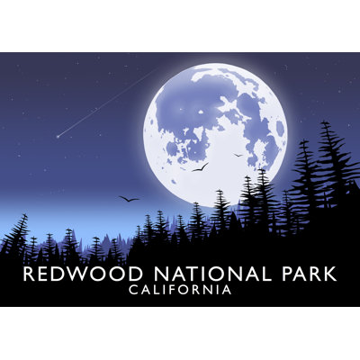 'Redwood National Park' 1 Piece Wall Art