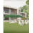 120'' W x 240'' D Metal Canopy-98640780