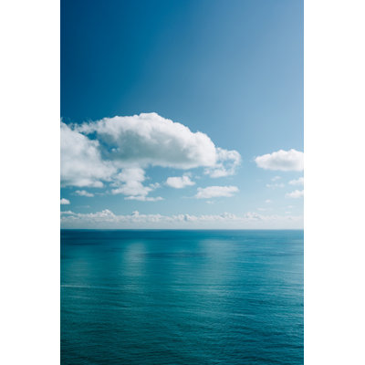 1 Piece Wrapped Canvas Wall Art