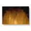 Golden Rise in Abstract - Wrapped Canvas-55316082